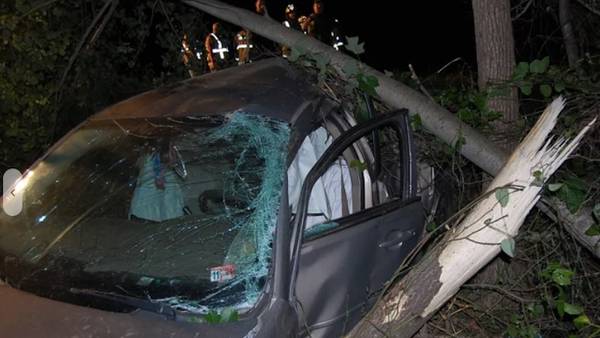 2 injured after driver runs off road, tree falls onto vehicle