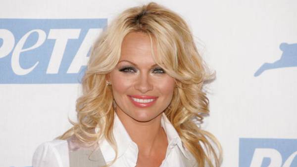 Pamela Anderson, Dan Hayhurst divorce after year of marriage
