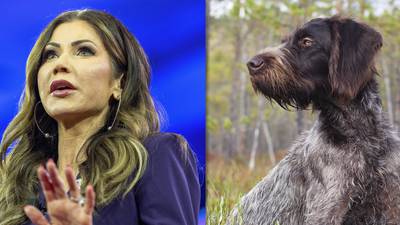 Was it legal for Kristi Noem to shoot her puppy — and what else could she have done?