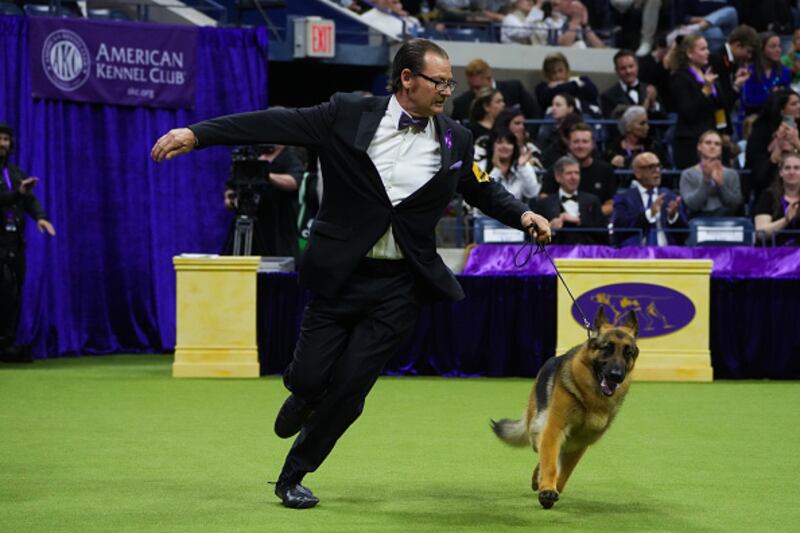 Westminster Kennel Club