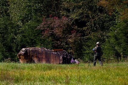 Flight 93