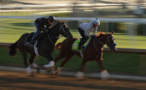 Horses at the Kentucky Derby