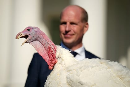 Turkey pardon