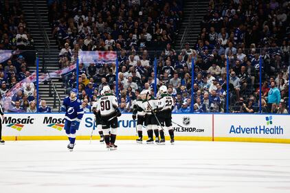 Arizona Coyotes Tampa Bay Lightning