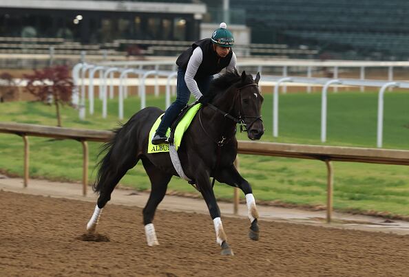 Horses at the Kentucky Derby