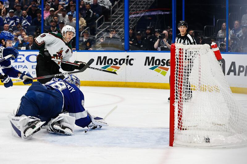 Arizona Coyotes Tampa Bay Lightning