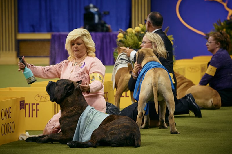 Westminster Kennel Club