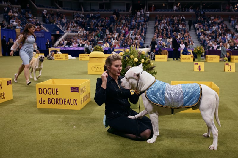 Westminster Kennel Club