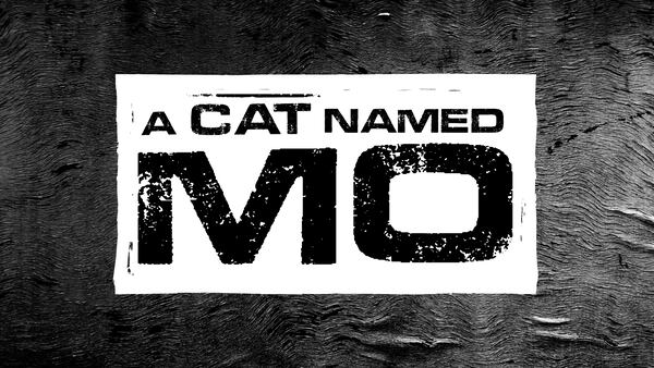 A Cat Named Mo