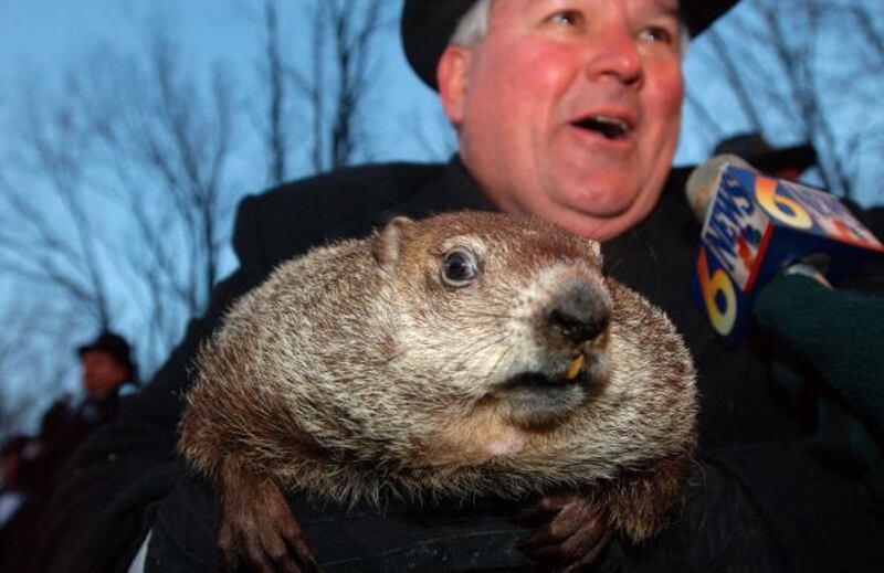 Groundhog Day